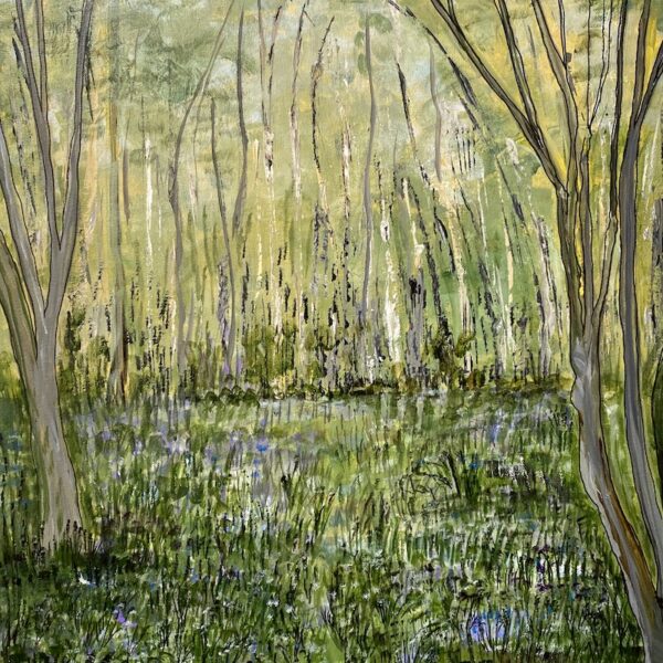 Bluebells in Bradfield Woods, 2024