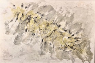 Gold Rush