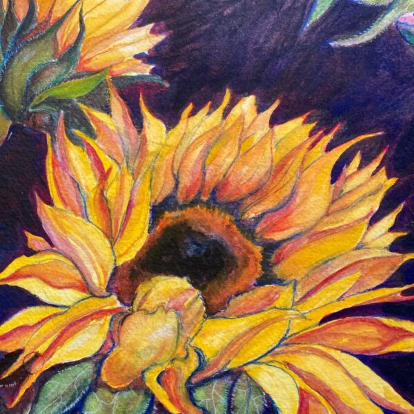 Sunflower