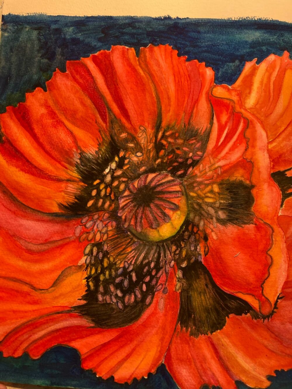 Poppy