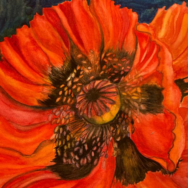 Poppy