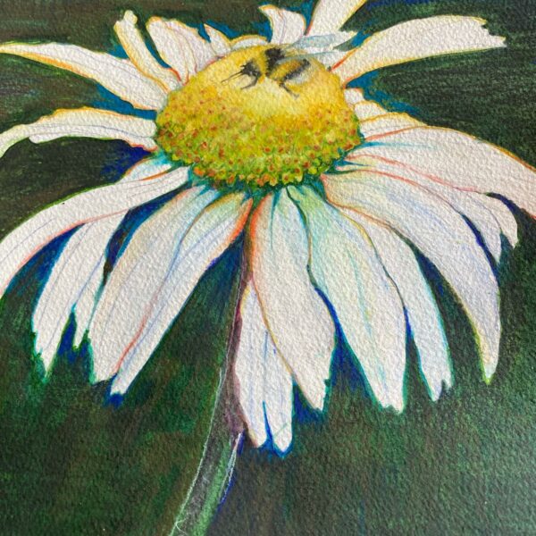 Daisy