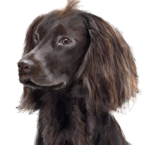 Albie