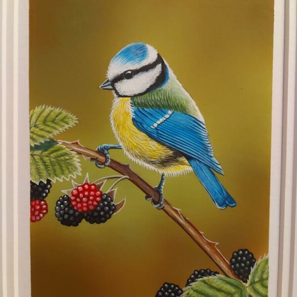Blue Tit