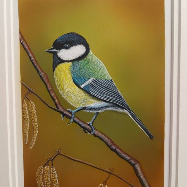 Great Tit