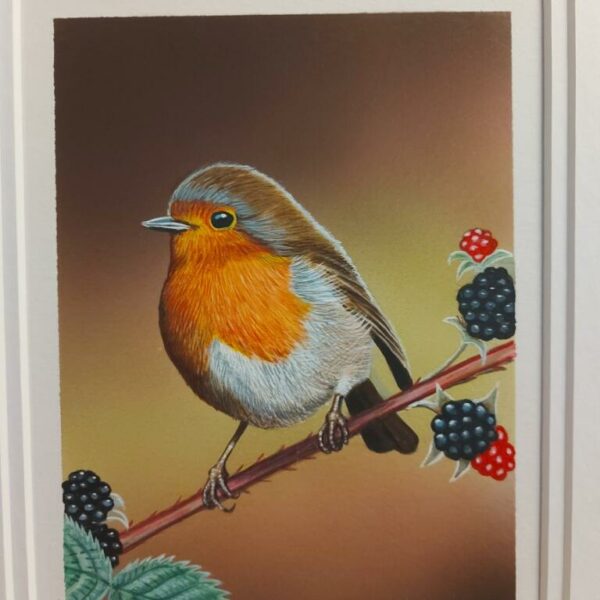 Robin