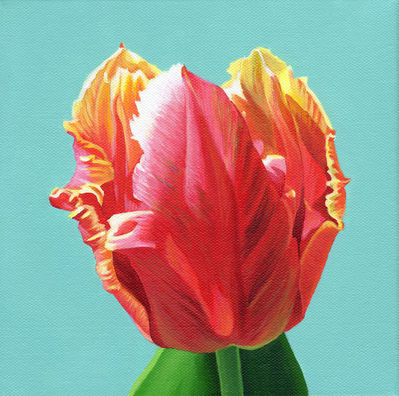 Tulip Dee Jay Parrot