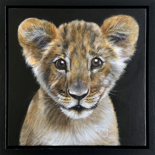 Tiger Club ‘Wonder’