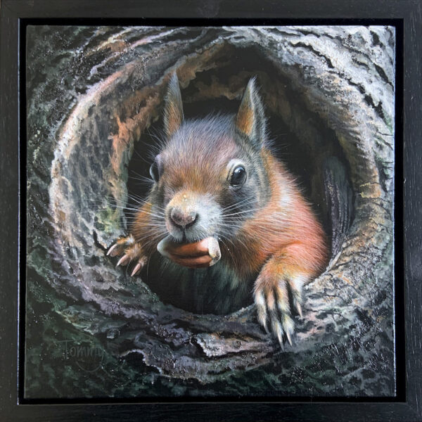 Red Squirrel ‘Nuts’