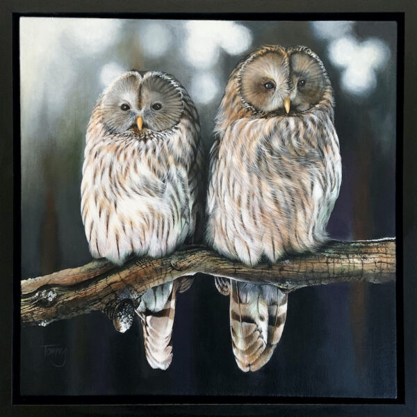 Owls ‘The Night Watch’