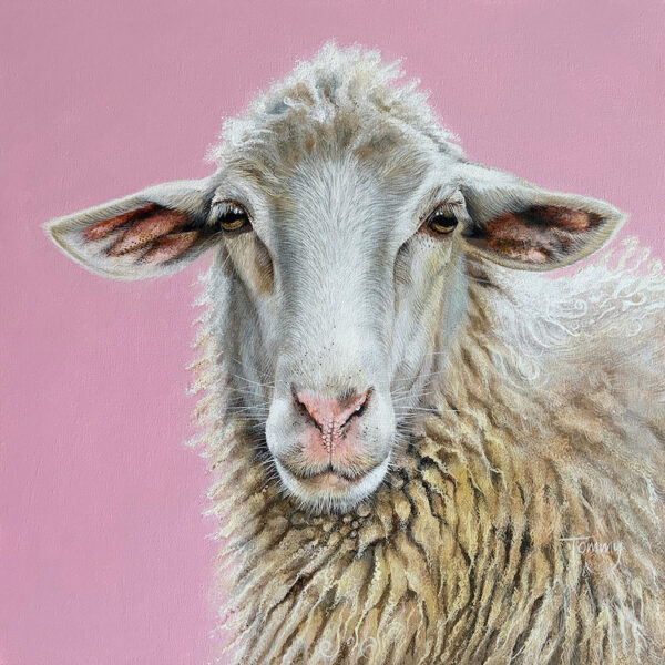 Sheep ‘Knit One Purl One’