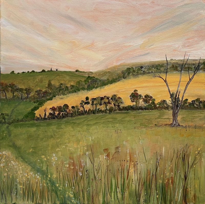 A Summer Walk in Ickworth Park, 2025