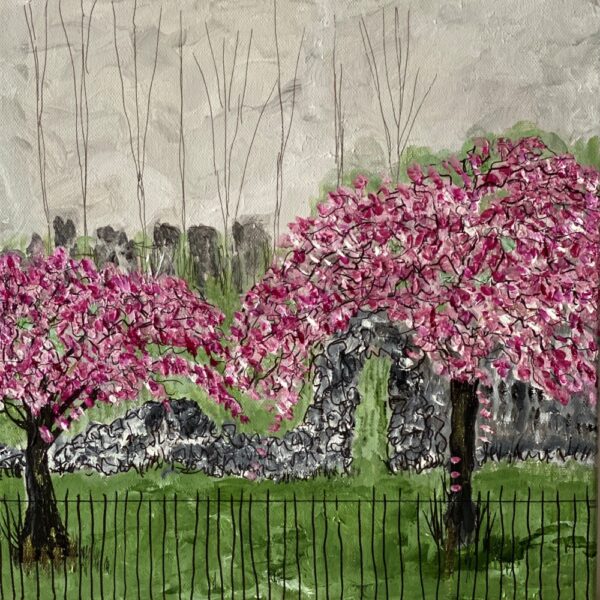 Blossoms in Crown Street, 2025