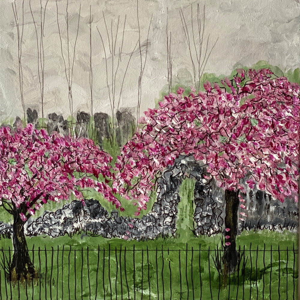Blossoms in Crown Street, 2025