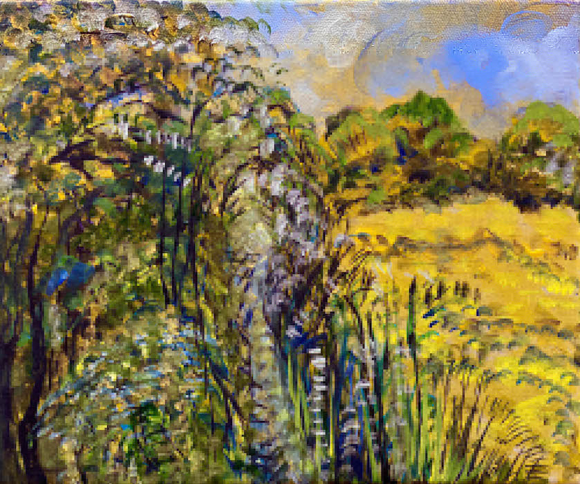 Summer Walk In No Man's Meadow, 2021