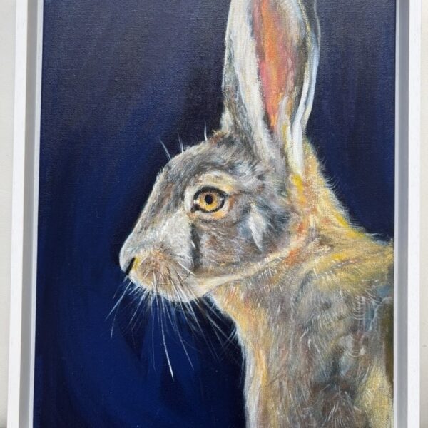 Hare