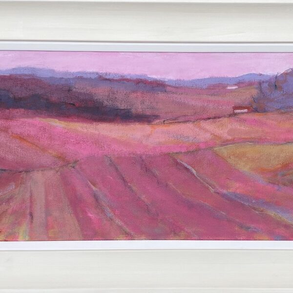 Magenta Afternoon