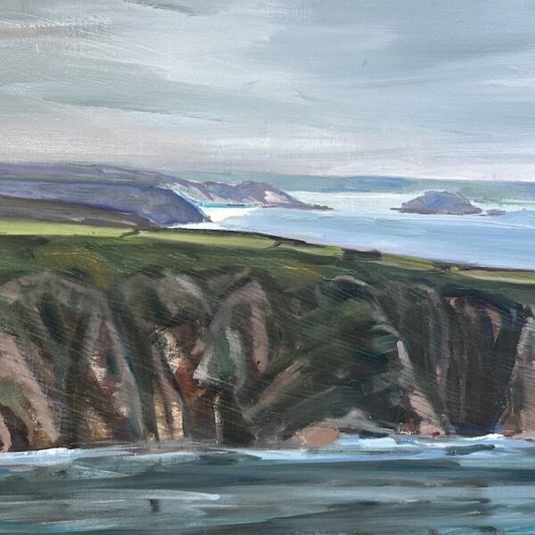 Caerfai Cliffs St David’s
